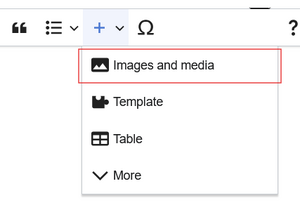 Insert image in VisualEditor.png